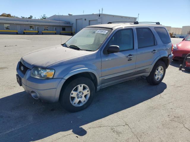 FORD ESCAPE LIM 2007 gray  gas 1FMYU04197KA70066 photo #1
