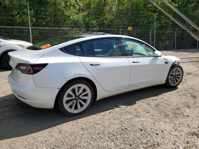 2023 TESLA MODEL 3 #3287509994