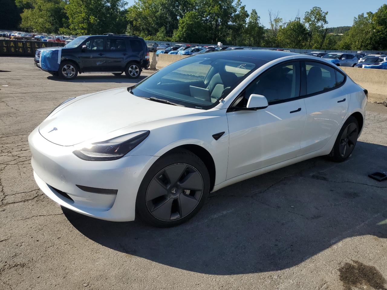 TESLA MODEL 3