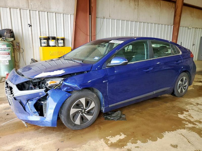 Global Auto Auctions: 2019 HYUNDAI IONIQ SEL