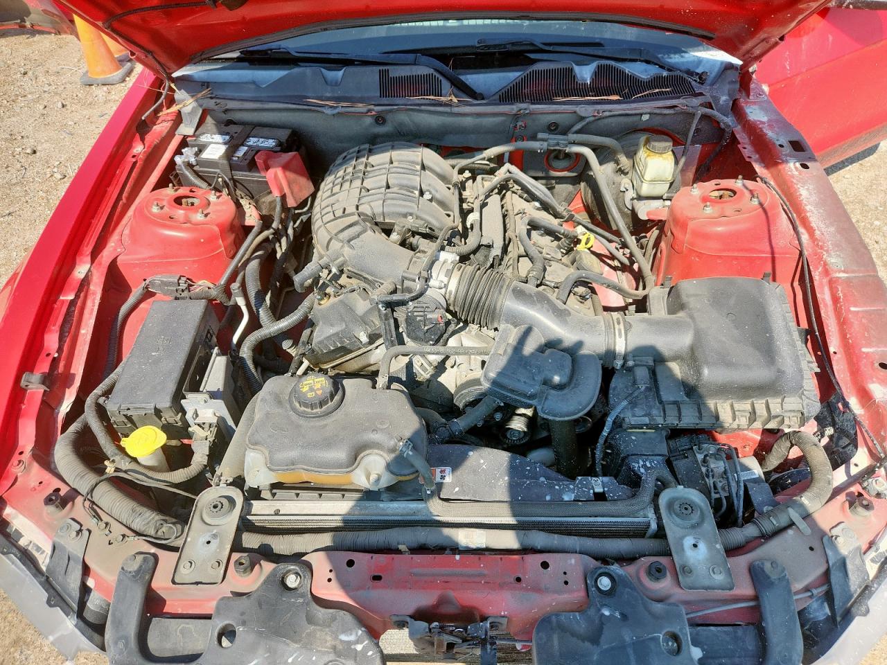 Lot #3309653841 2014 FORD MUSTANG