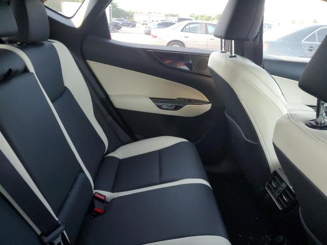 2024 LEXUS NX 250 BAS JTJADCAZ9R5014161