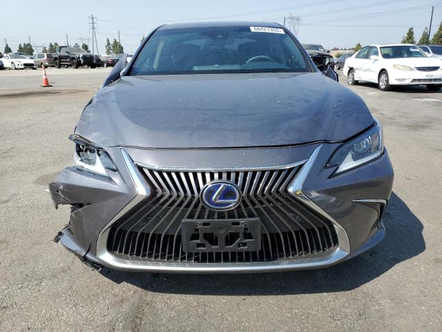 2021 LEXUS ES 300H 58ADA1C15MU002354