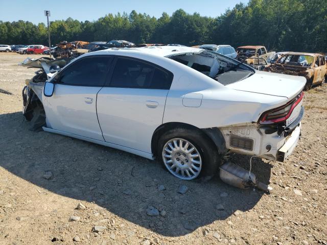 2019 DODGE CHARGER PO 2C3CDXKT9KH622424