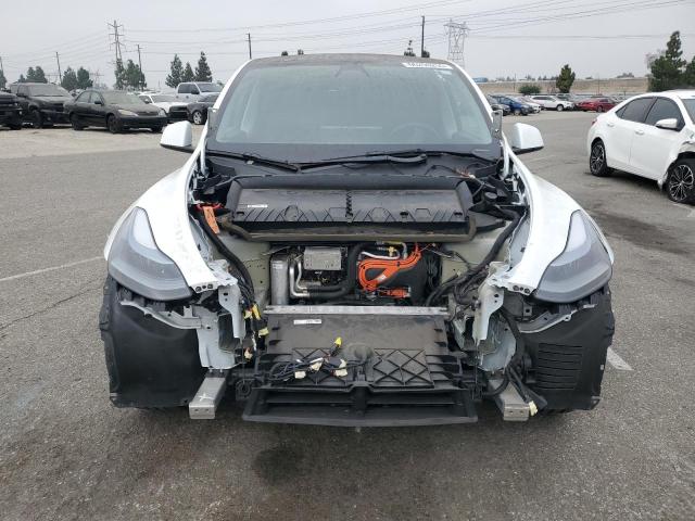 2022 TESLA MODEL Y #3301653676