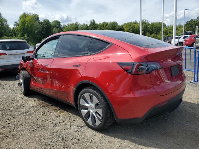 2023 TESLA MODEL Y 7SAYGDEE0PA187990