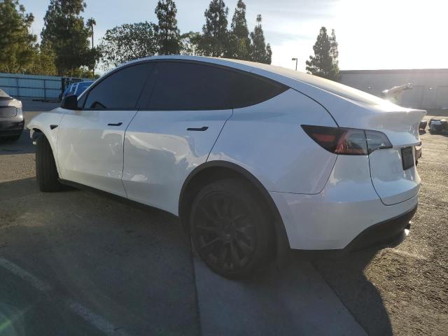 2021 TESLA MODEL Y 5YJYGDEE5MF140014