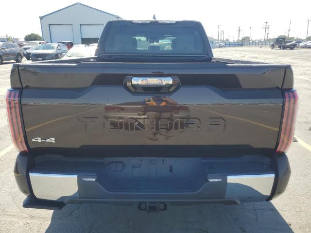 2023 TOYOTA TUNDRA CREWMAX PLATINUM 5TFMA5EC1PX013355