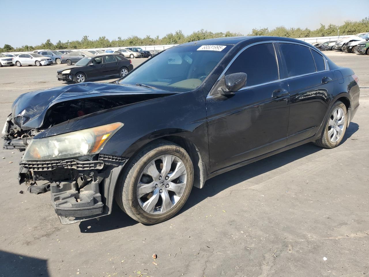 HONDA ACCORD EXL