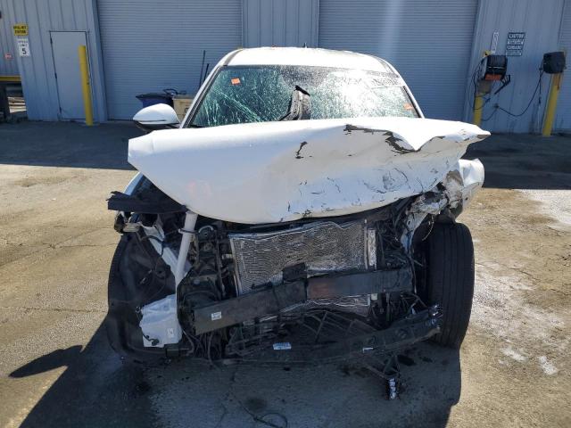2024 HYUNDAI SANTA CRUZ 5NTJB4DE0RH107594