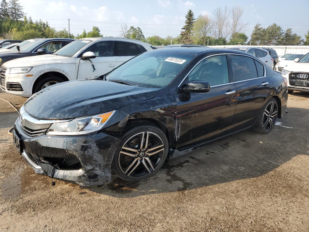 HONDA ACCORD SPORT