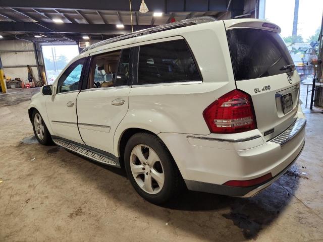 2010 MERCEDES-BENZ GL 450 4MA #3301983415