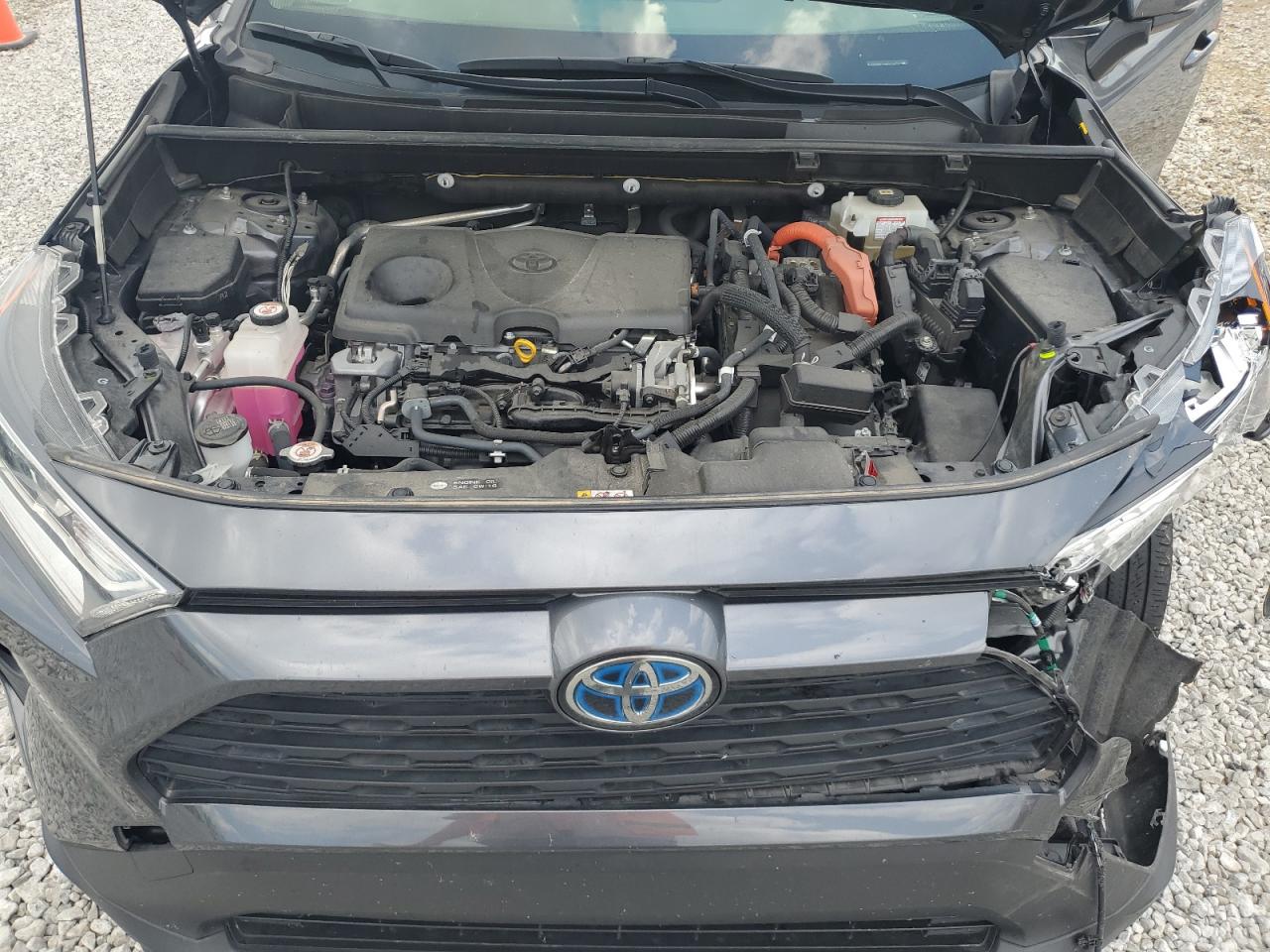 Lot #3317865903 2021 TOYOTA RAV4 XLE