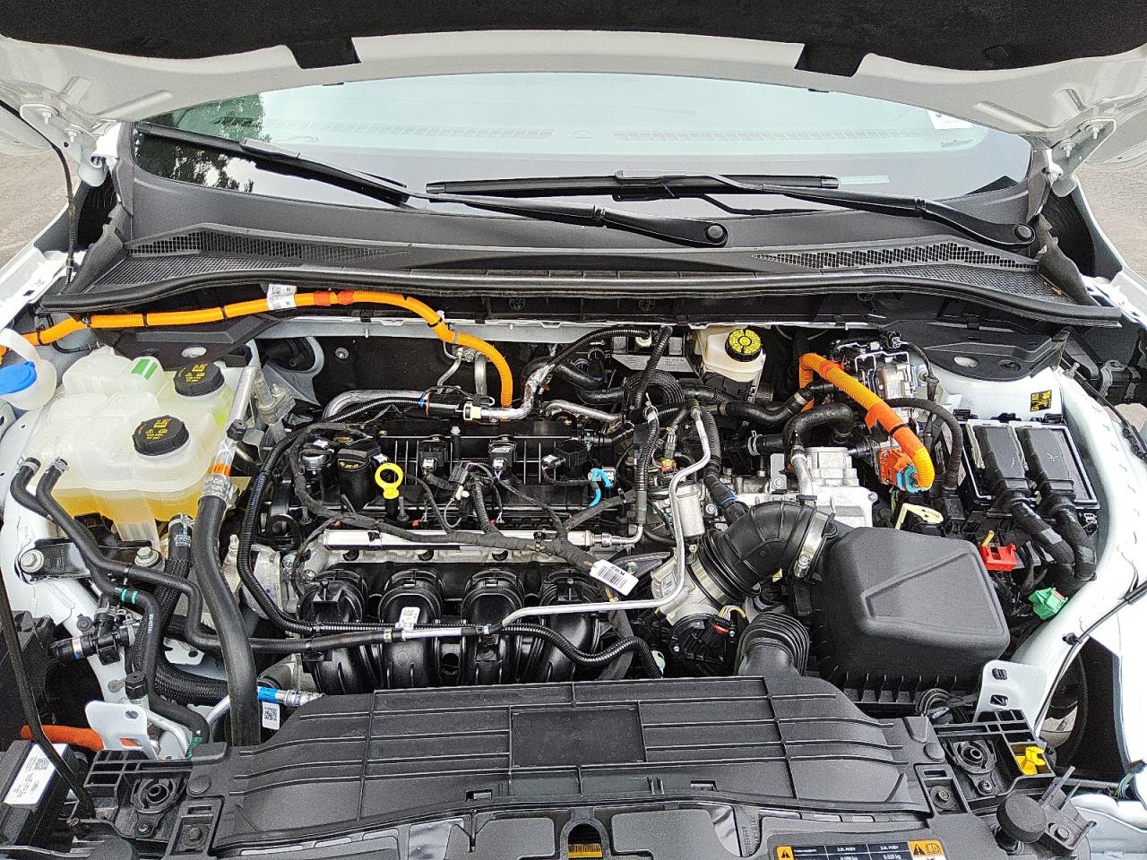 FORD ESCAPE ST LINE SELECT