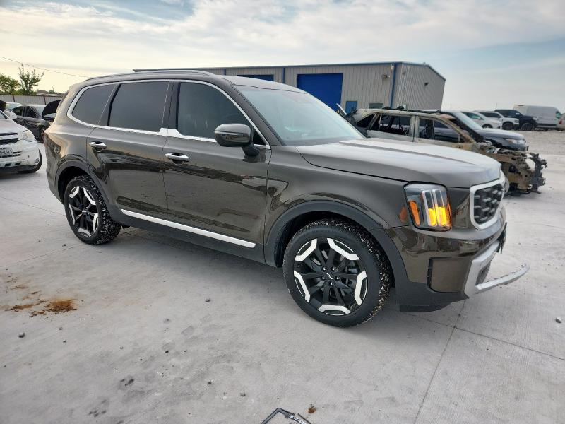 2024 KIA TELLURIDE 5XYP6DGC6RG498488