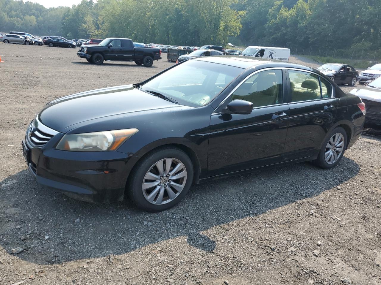 HONDA ACCORD EXL