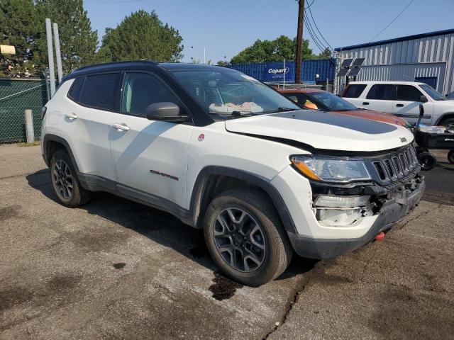 2019 JEEP COMPASS TR 3C4NJDDB7KT729320