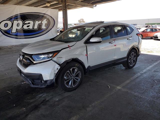 Global Auto Auctions: 2022 HONDA CR-V EXL