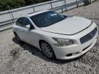 Lot #3301742396 2010 NISSAN MAXIMA S
