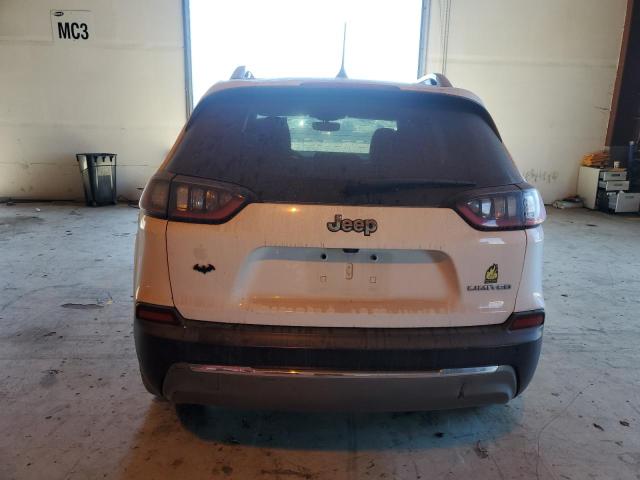 2019 JEEP CHEROKEE L 1C4PJLDB4KD392257
