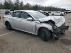 Lot #3305462079 2023 NISSAN ALTIMA S