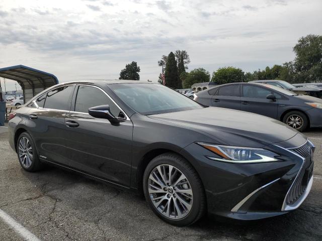 2021 LEXUS ES 300H 58ADA1C17MU010116