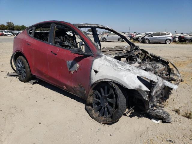 2021 TESLA MODEL Y - 5YJYGDEE9MF213157