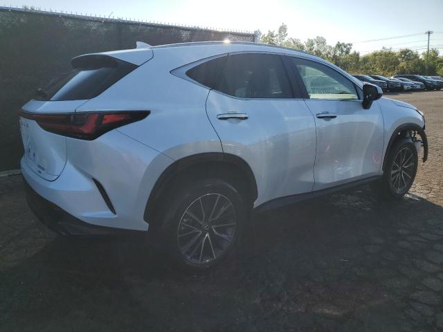 2025 LEXUS NX 350H BASE 2T2GKCEZ5SC039060