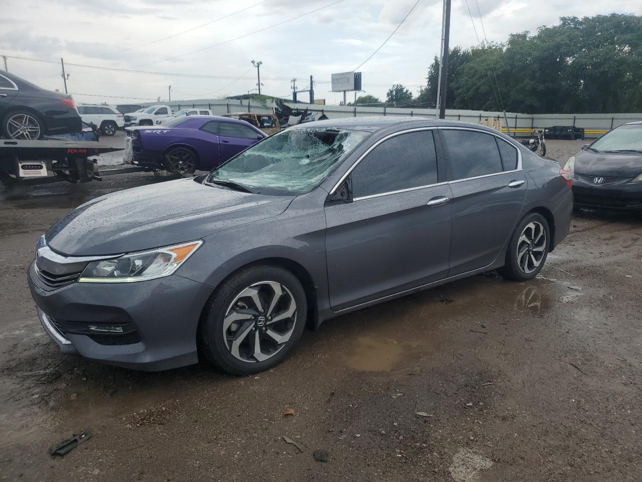 HONDA ACCORD EXL