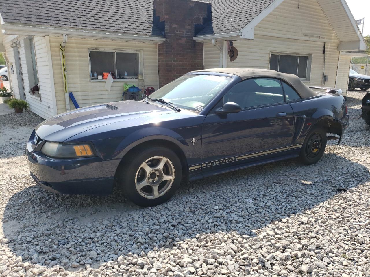 Lot #3301661624 2001 FORD MUSTANG