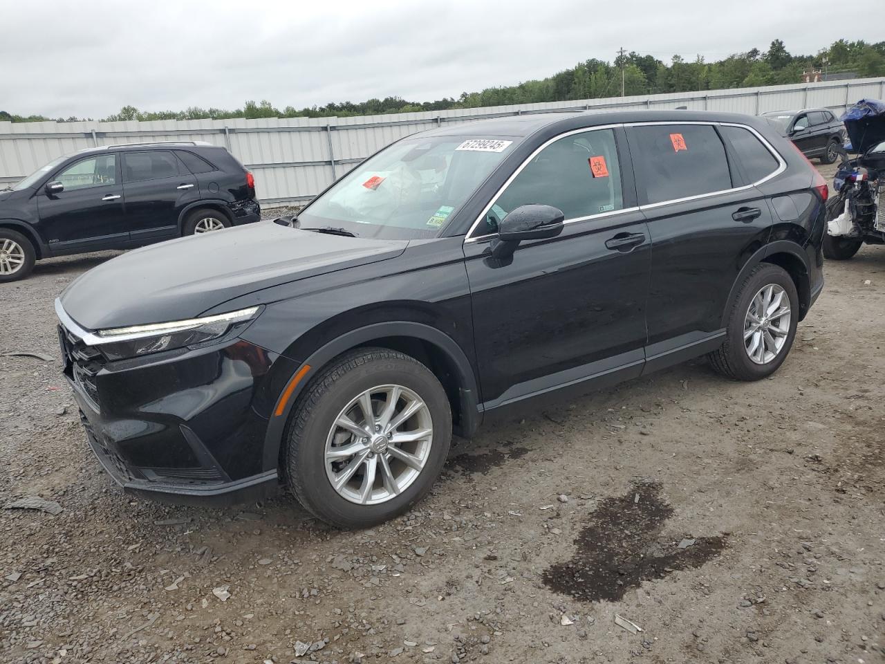 HONDA CR-V EX