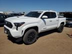 2024 TOYOTA TACOMA DOU - 3TYLB5JN9RT008563
