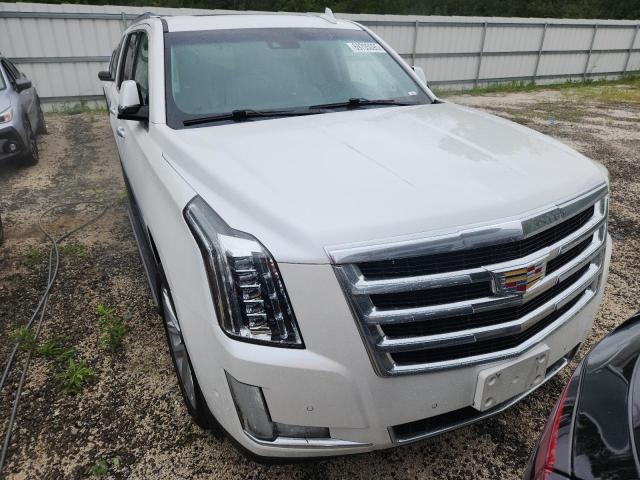 2019 CADILLAC ESCALADE P 1GYS4CKJ2KR129953