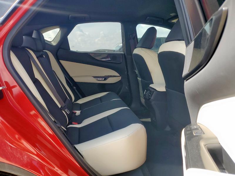 2024 LEXUS NX 250 BAS 2T2ADCAZ0RC007052