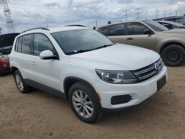 2017 VOLKSWAGEN TIGUAN S WVGBV7AX2HK053101