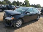 Top Destinations for Shipping Cars from the USA