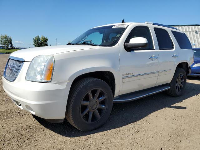 2011 GMC YUKON DENA - 1GKS2EEF0BR250743