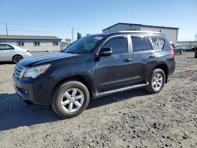 LEXUS GX 460