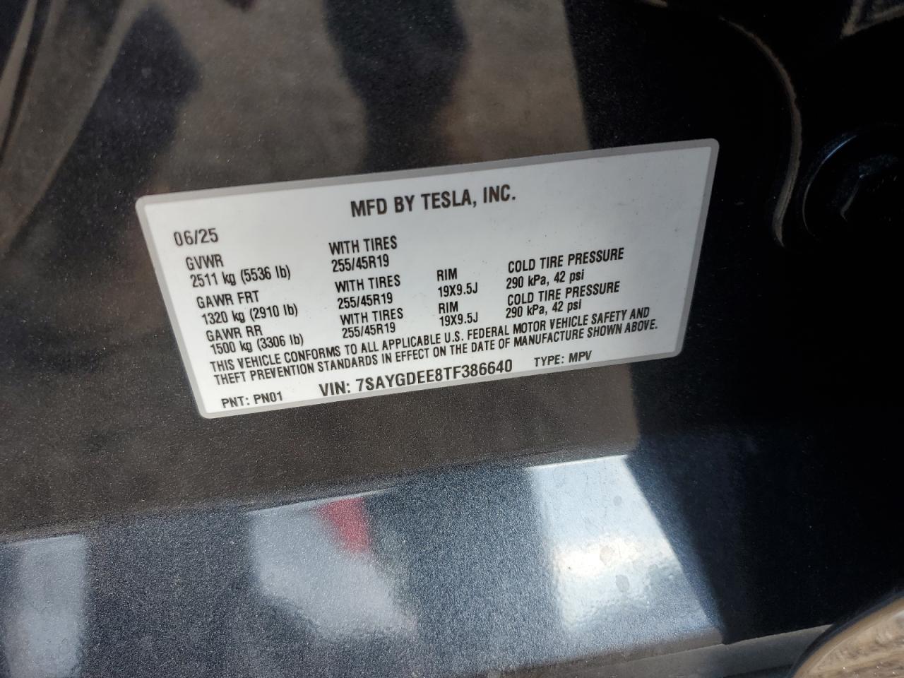 TESLA MODEL Y
