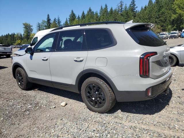 2025 KIA TELLURIDE SX 5XYP5DGC2SG647004