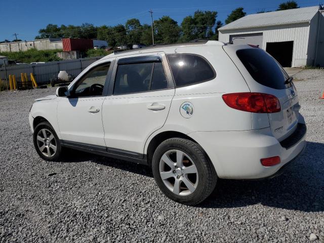 2009 HYUNDAI SANTA FE S #3224651894