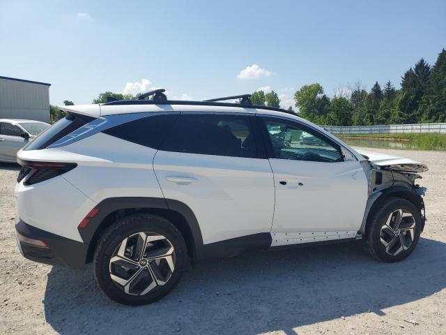 2023 HYUNDAI TUCSON LIM 5NMJECAE7PH292385