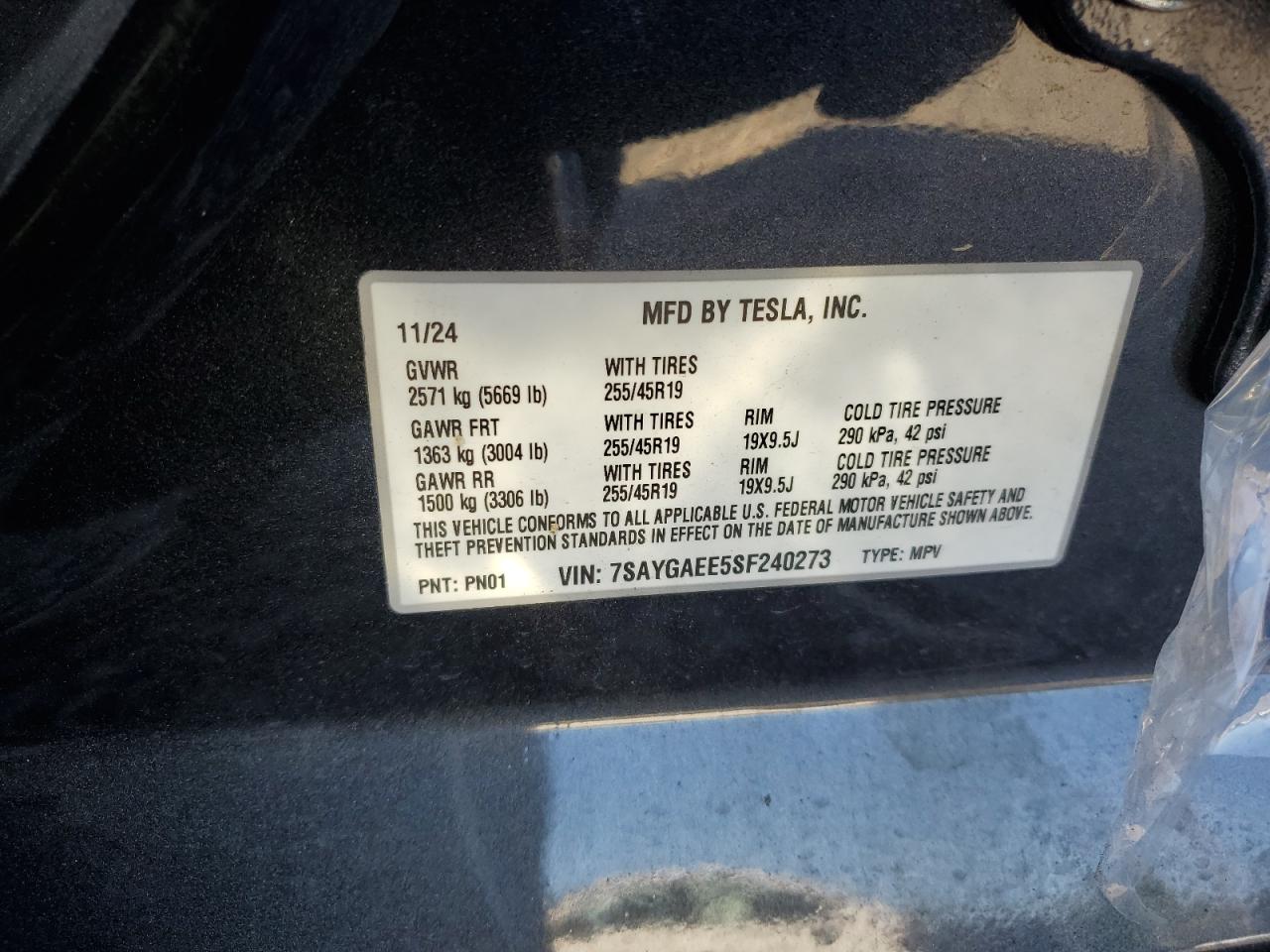 TESLA MODEL Y