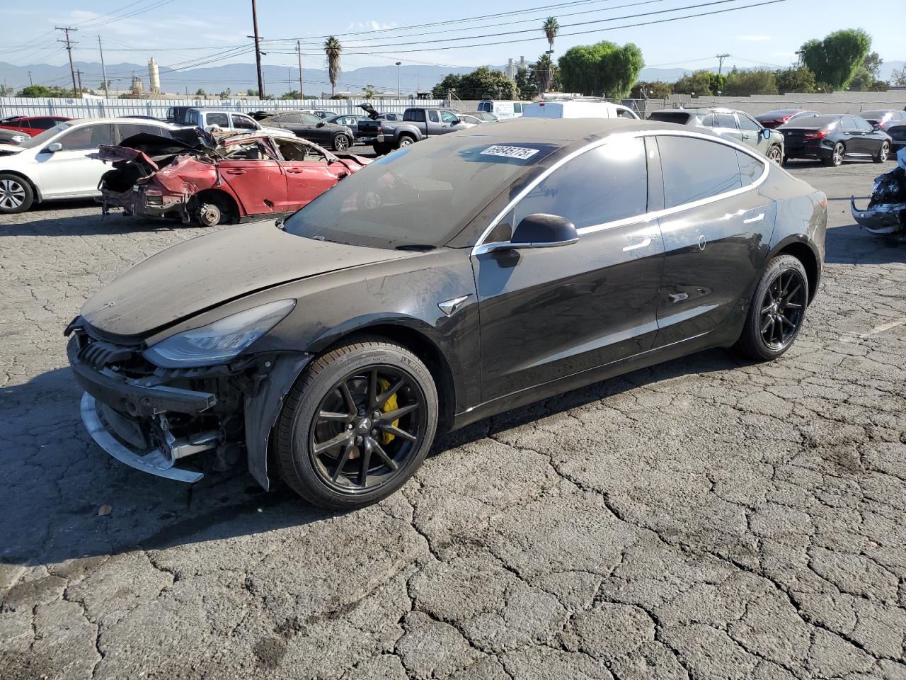 Lot #3241794929 2019 TESLA MODEL 3