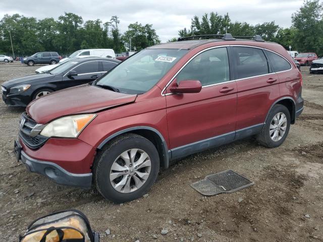 HONDA CR-V EXL