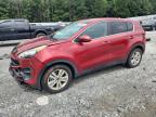 Top Destinations for Shipping Cars from the USA