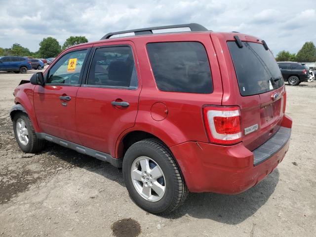 2010 FORD ESCAPE XLT - 1FMCU0D76AKB09623