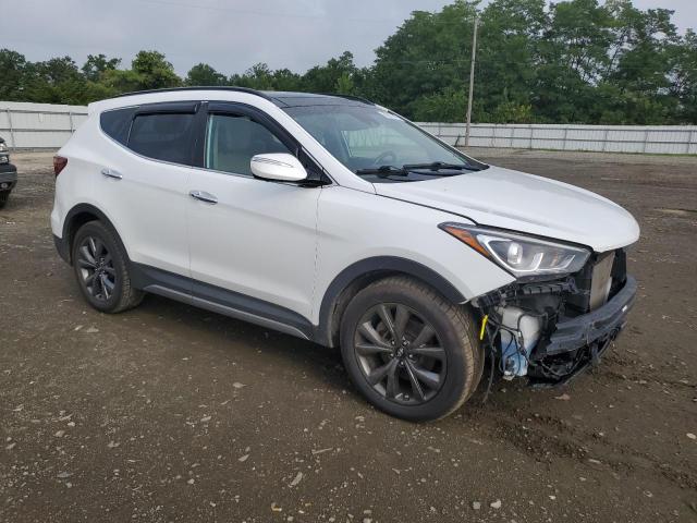 2017 HYUNDAI SANTA FE S 5XYZWDLA1HG502619