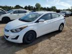 2016 HYUNDAI ELANTRA SE - 5NPDH4AE0GH728247