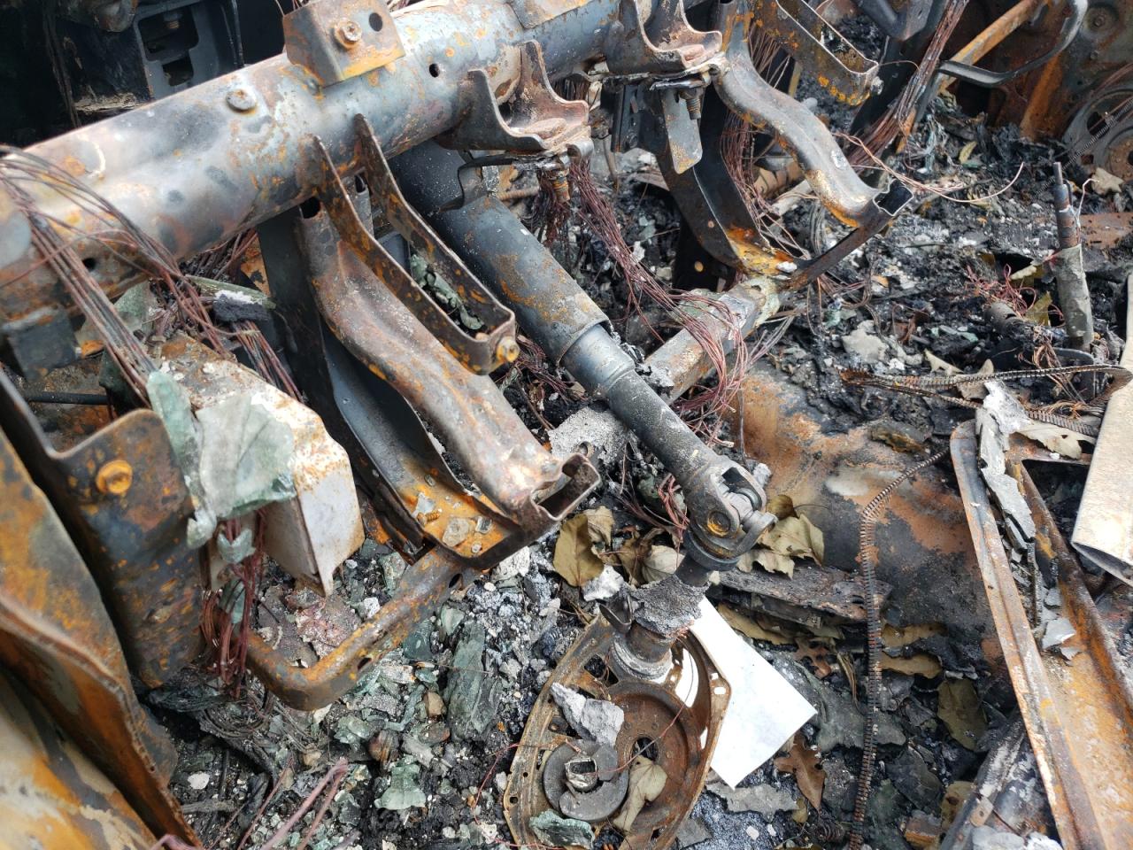 Global Auto Auctions